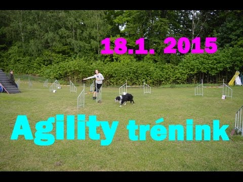 Agility trénink 18.1. 2015