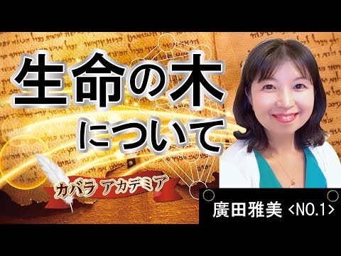 シダルの光線について詳しく解説