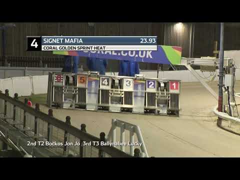 2021 CORAL GOLDEN SPRINT - HEAT 2 - T4 SIGNET MAFIA