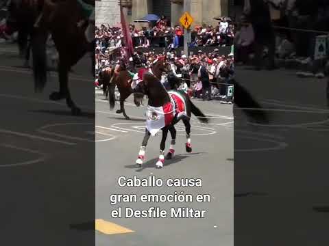 Gran emoción causa el caballo en el Desfile Miltar