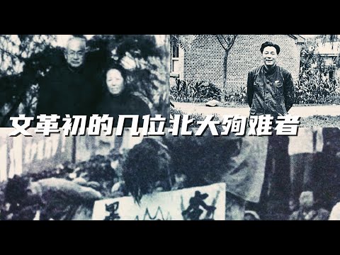 文化大革命16，文革初北大的殉难者，来自李雪峰和季羡林的回忆。俞大絪，吴兴华，汪篯等几位老师的死难过程。文革是一次对文化和人性的摧残。#毛泽东#文化大革命 #中国政治#习近平#北京大学#中国文化#文革