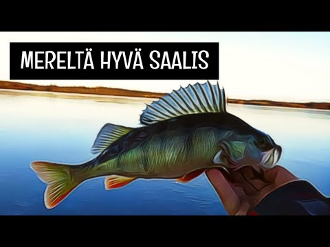 AHVENPILKILLÄ MERELLÄ