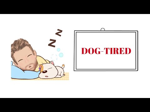 English Tutor Nick P Adjective Phrase (130) Dog-Tired - Origin - Animated