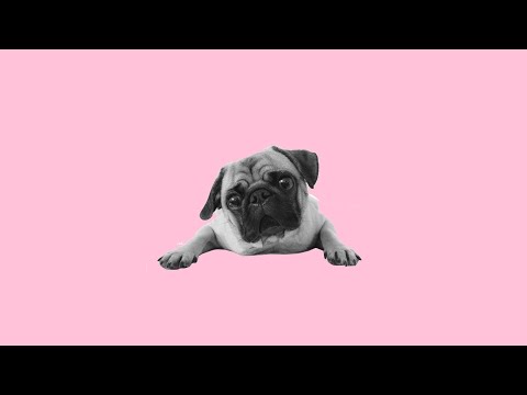 [SOLD] S3RL x LIDA Happy Hardcore Type Beat - "Pug"