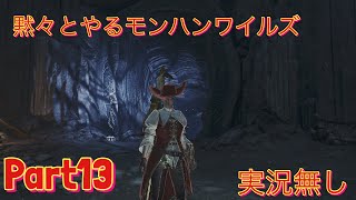 初見で黙々とやるモンスターハンターワイルズ　実況無し　part13