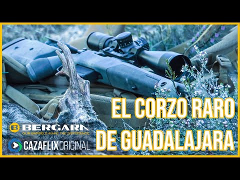 EL CORZO RARO DE GUADALAJARA con RAFA CARRILLO y el rifle BERGARA B14 WILDERNESS Thumbhole Carbon