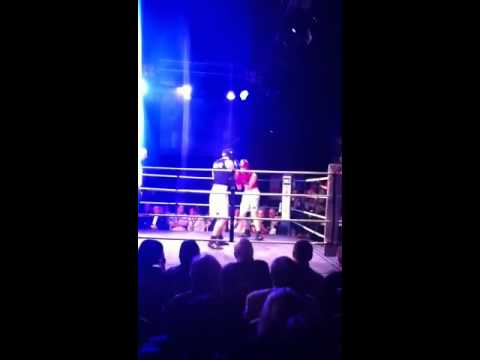 Pollocks fight, Kelly's 2011