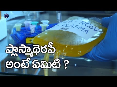 ప్లాస్మా థెరపీ అంటే ఏమిటి ? | What is PLASMA THERAPY