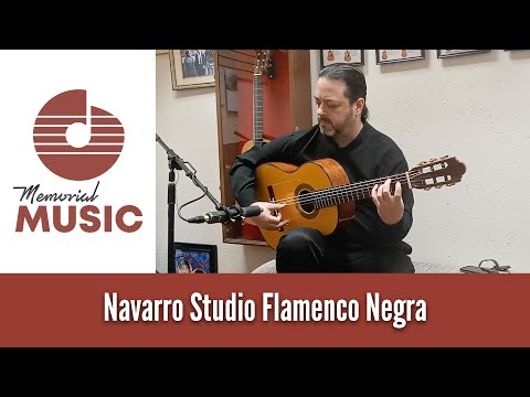 Marlon Navarro Flamenco 2017 image 15