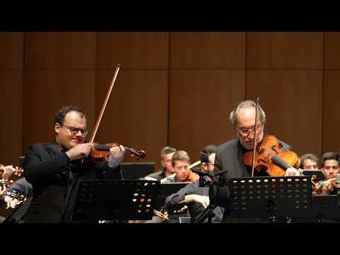 W.A.Mozart: Sinfonia concertante in E flat Major, K 364 - II.Andante