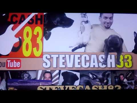 talking kitty cat 65 - meet the new kitten