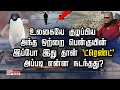 உலகையே குழப்பிய அந்த ஒற்றை பென்குயின