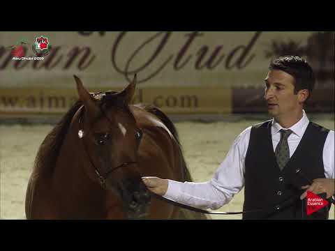 N 88 PHEODOSIA ALJASSIMYA   UAE Nationals 2019