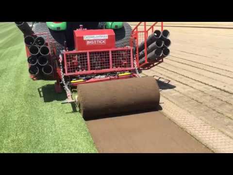 download lagu mp3 mp4 Pannon Turfgrass, download lagu Pannon Turfgrass gratis, unduh video klip Pannon Turfgrass
