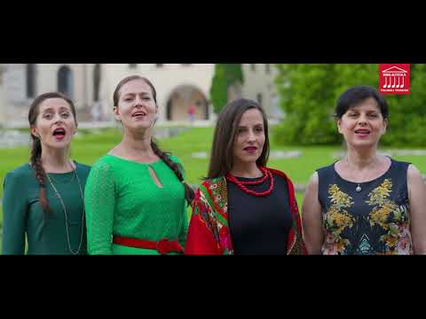 10. MY PIERWSZA BRYGADA