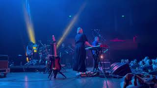 The Chills - I love my leather jacket