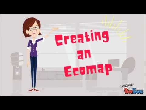image-What is an ecomap used for?