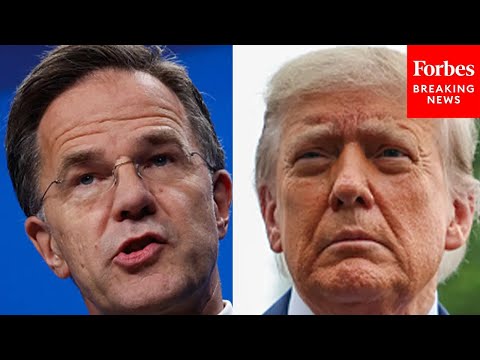 NATO Secretary General Pressed On Trump's Comments About Possible 'Military Action' In Greenland