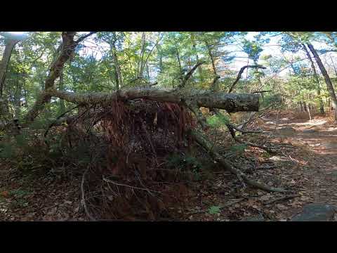 THE WARNER TRAIL Sec 8, F. Gilbert Hills Forest to Lakeview Rd to Rt.140 Foxborough, MA Vid 3 of 8