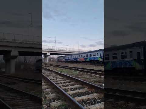 DA(lmatianul) 733 la manevră  în Târgoviște Sud #trains  #targoviste Targoviste