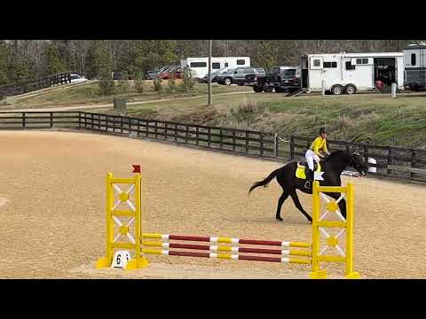 Paterfamilias Stadium - Starter CT @ Poplar 3/15/25