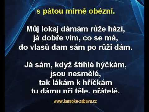 Dáma při těle - Petr Spálený Karaoke tip