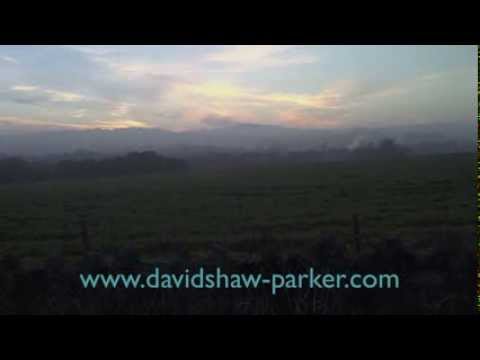 Scottish Poetry's Greatest Hits: Foreign Children by Robert Louis Stevenson