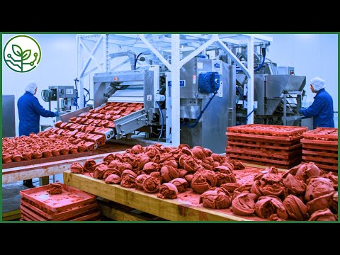 How Enterprises Transport Ice Cream Across The Country | AGROFORESTRY TECH