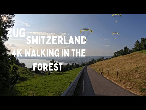 Zugerberg-Abstieg: 40 Minuten durch Waldwege & pure Schweizer Natur 🌄#zugerberg #zug #travel #swiss