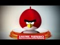 Angry Birds 3D Птицы NEW TOP 1000000 