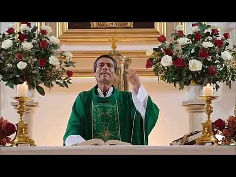 Homilía 09/02/23 - Marcos 7, 24-30 - Curación de la hija de una sirofenicia.