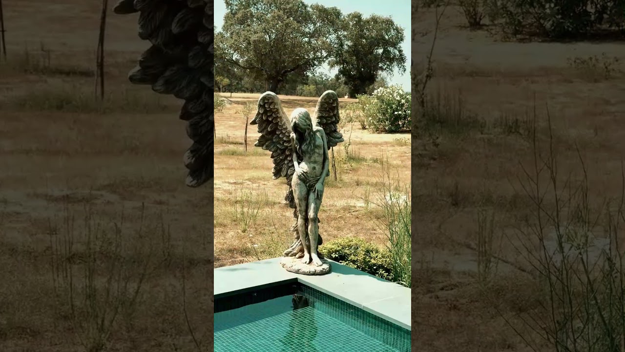 Vídeo do imóvel