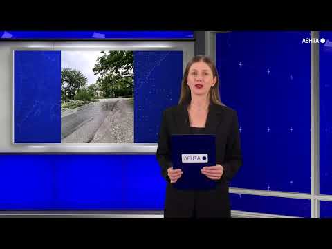 В селе Олений массивное дерево рухнуло прямо на дорогу
