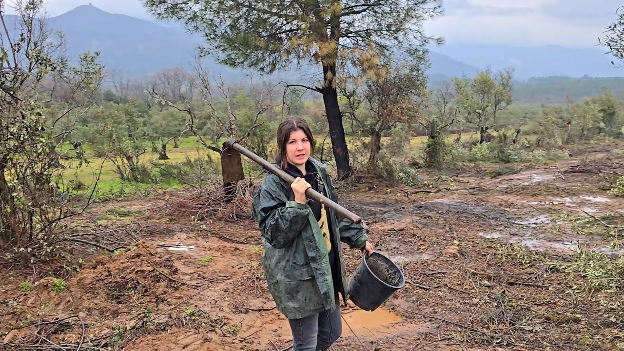 Voy a recoger esto que me dejó mi padre, nuevo proyecto