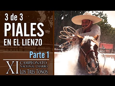3 of 3 PIALES ON THE CANVAS - XI Los Tres Toños Championship 2019