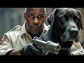 Denzel Washington Newly Released Action Movie2025 Full Action Movie Action Sdp1