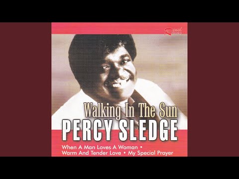 I'll Be Your Everything