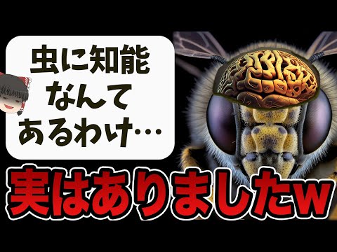 線虫について詳しく解説