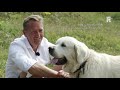 Best of Nature - Westvoorne vogelrijk en duurzaam