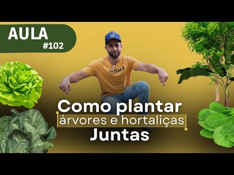 AULA #102- Método Agroflorestal Para Produzir Árvores e Hortaliças no Mesmo Espaço