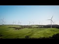 ‘They'll just sit there’: Wind turbine blades 'dumped' in forest