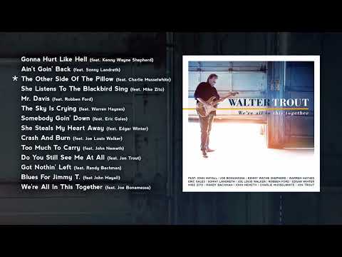 Walter Trout - We're All In This Together (Full Album Stream)