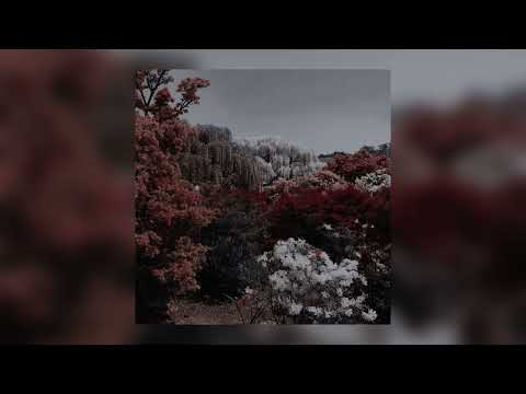 b0lit :( - dj trippie flameboy (Slowed/Daycore)