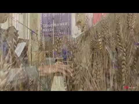 Verberg mij nu - R. Morgan / L. Morée | Chr. Jongerenkoor Jigdaljahu