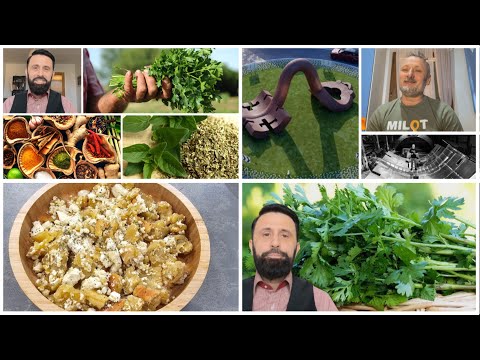 Rreze Dielli - Emisioni 24 Prill 2024, Receta/ Fuqia e erëzave nga Altin Joka/ Çelësi monumental