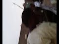 NURA M INUWA
