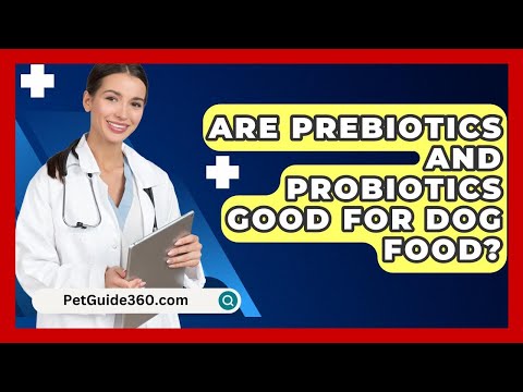 Are Prebiotics And Probiotics Good For Dog Food? - PetGuide360.com