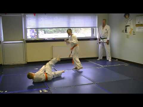 Kal and Ryan Kempo JuJitsu Vid 3