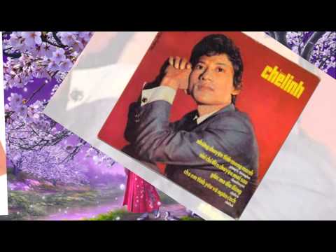 Tâm sự người thương binh Sheet - Chế Linh