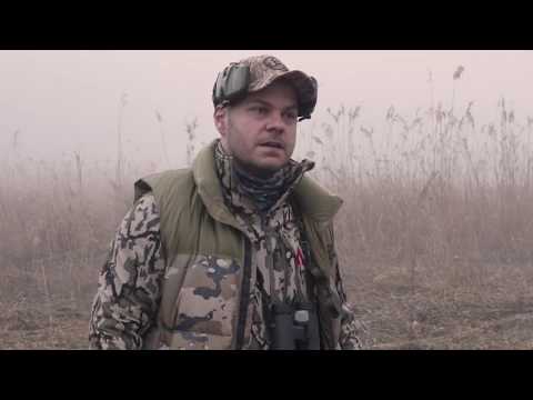 Sauenhammer - Erfolgreiche Pirsch auf Überläufer Keiler und Frischling